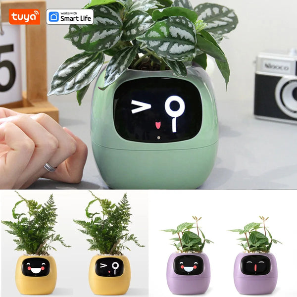 Ivy Smart Planter Delight